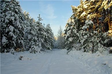 《米娅与龙公主》：由散打黑带主演的互动伙伴式动作冒险游戏将于5.4推出，支持中文